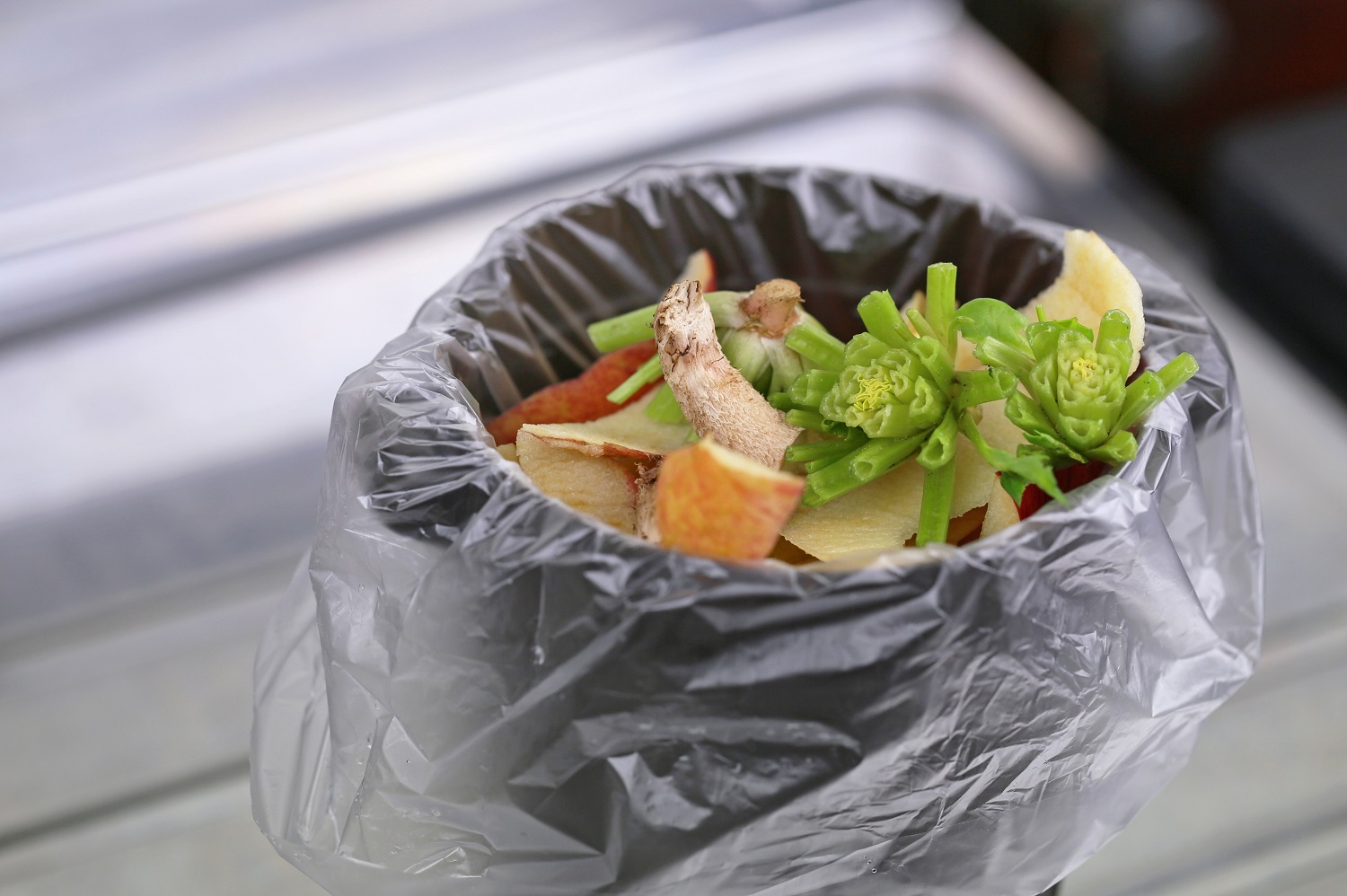 Should You Put Your Food Waste In A Compostable Plastic Bag 